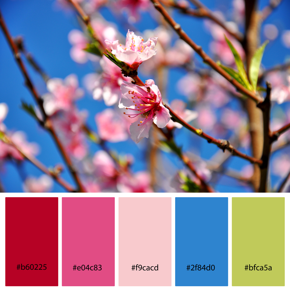 hex code farben